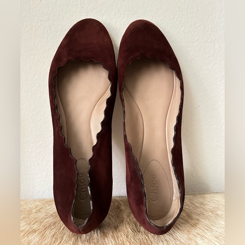 Chloe “Lauren” Scalloped Suede Leather Ballerina Flats | Size 40